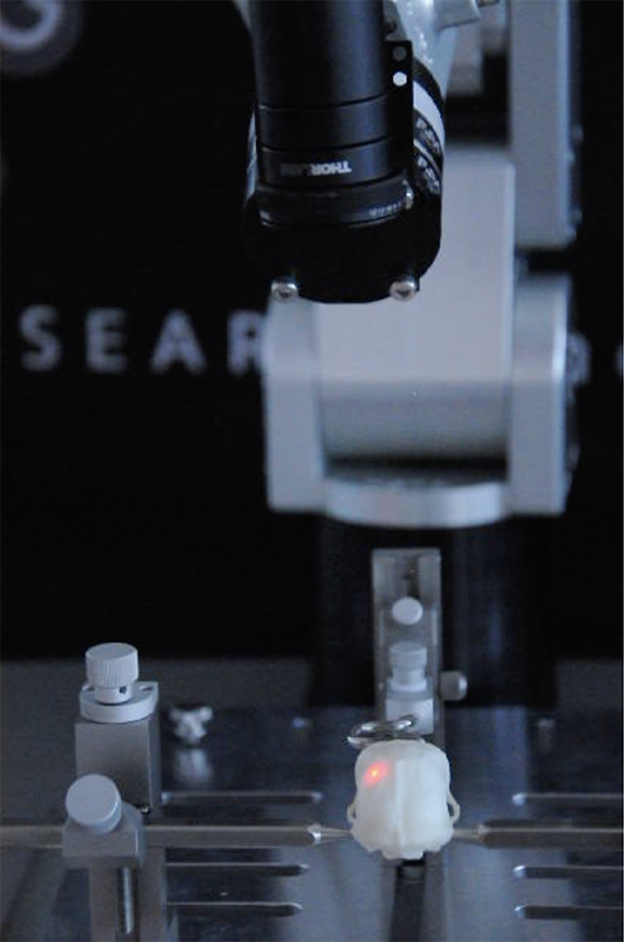 Brainsightlaser